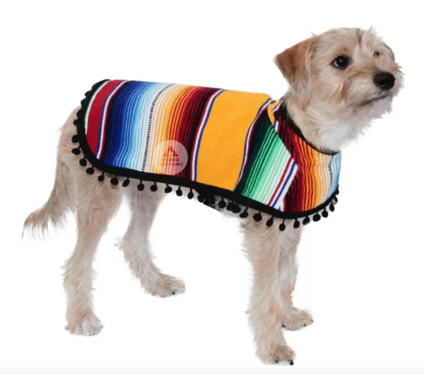 Jorongo mexicano para perros