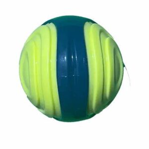 Pelota resistente