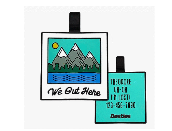 Placa de Identificación para Perro Besties "We Out Here" de Silicón
